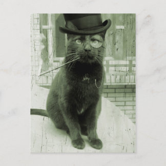 Vintage-Steampunk-LOL-lustige-Katzen-Postkarte Postkarte