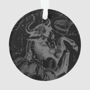 Vintage Stier-Konstellation durch Hevelius Ornament