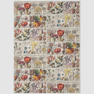 Vintage stilisierte Blumen botanische Buchtafel #2 Seidenpapier