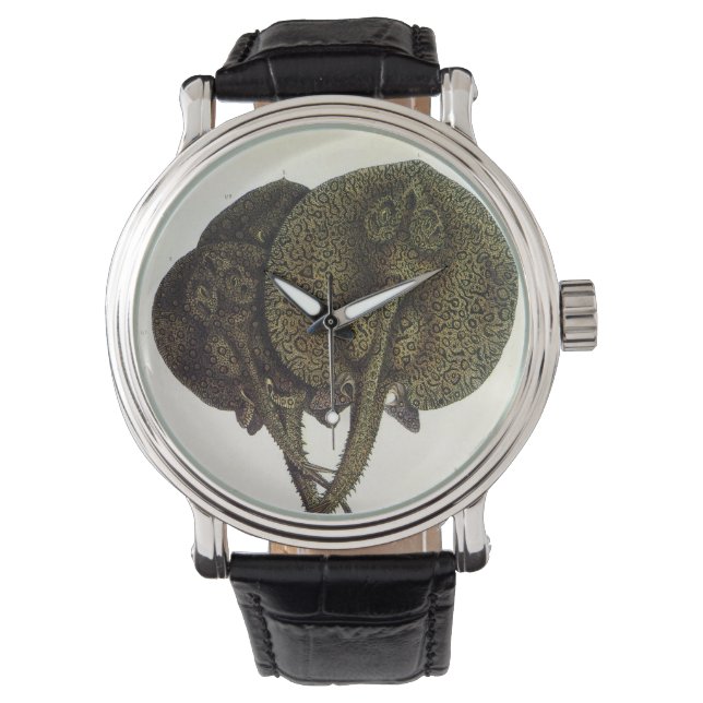 Vintage Stingrochen, Meerestiere Armbanduhr (Vorderseite)
