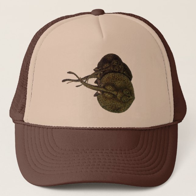 Vintage Stingrochen, Meerestiere Truckerkappe (Vorderseite)