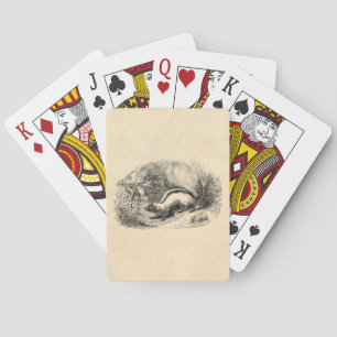 Vintage Stinktier 1800s Spielkarten