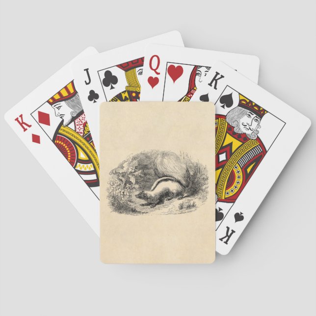 Vintage Stinktier 1800s Spielkarten (Rückseite)