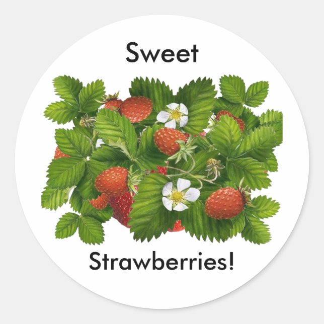 Vintage Strawberry Runder Aufkleber (Vorderseite)