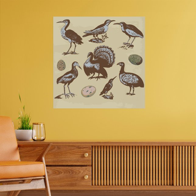 Vintage Style Birds Poster (Créateur téléchargé)