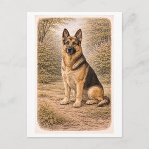 Vintage-Style Deutscher Schäferhund Postkarte