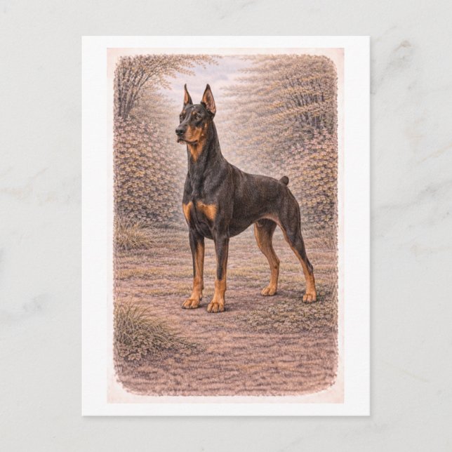 Vintage-Style Doberman Pinscher Postkarte (Vorderseite)