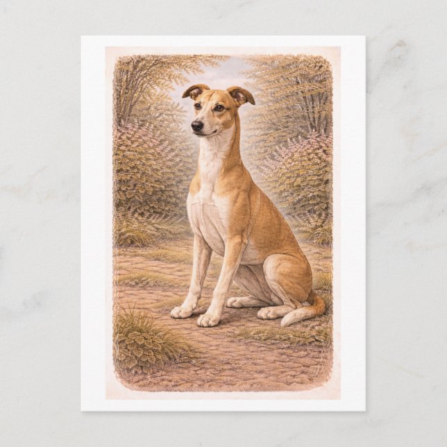 Vintage-Style Greyhound Postkarte (Vorderseite)