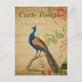 Vintage Style Peacock French Postkarte