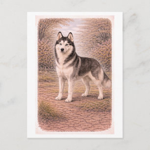 Vintage-Style Sibirischer Husky Postkarte