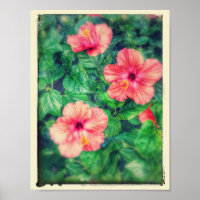 Vintage Style Tropical Hibiskus Blume