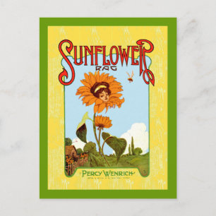 Vintage Sunflower Music Postkarte