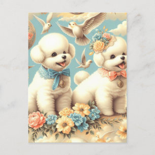 Vintage süße Bichon Frisé Illustration Postkarte