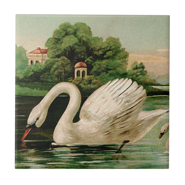 Vintage Swan im Lake Fliese (Vorderseite)