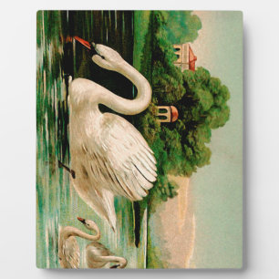 Vintage Swan im Lake Fotoplatte