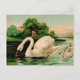 Vintage Swan im Lake Postkarte
