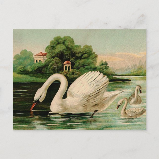 Vintage Swan im Lake Postkarte (Vorderseite)