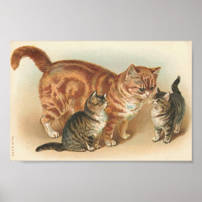 Vintage Tablettenkatze mit Kätzchen Poster (Vorne)