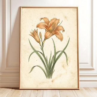 Vintage-Taglilien-Botanik-Kanvas-Kunstprint Poster