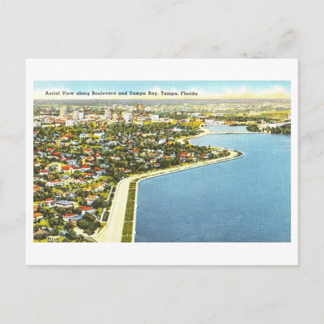 Vintage Tampa Bay, Florida Postkarte (Vorderseite)