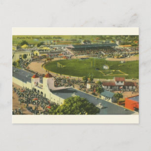 Vintage Tampa Florida Fair Grandes Cartes Postales