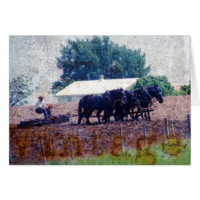 Vintage Teamarbeit (Vorderseite (Horizontal))