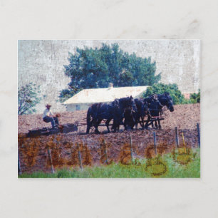 Vintage Teamarbeit Postkarte