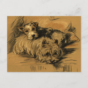 Vintage Terrier und Westie Postkarte