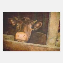 Vintage Textilindustrie im Stall Rustikales Land F Geschenkpapier Set