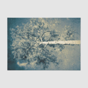 Vintage-Textur-Waldbaum gegen grauen Himmel Seidenpapier