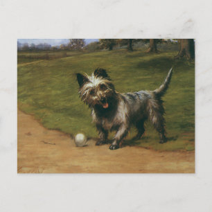 Vintage-Tiere Hunde, süßer schottischer Terrier-We Postkarte