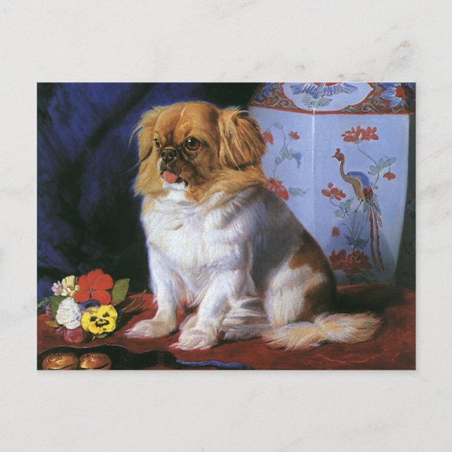 Vintage Tiere, Spielzeug-Pekingese Welpenhund Postkarte (Vorderseite)
