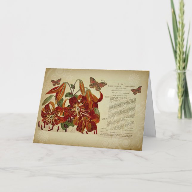 Vintage Tiger-Lilien-botanische Illustration Karte (Vorderseite)