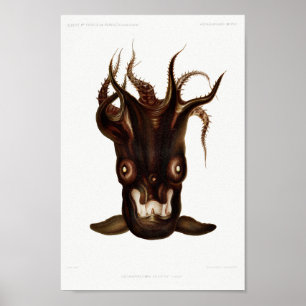 Vintage Tintenfisch-/Kraken-Illustration Poster
