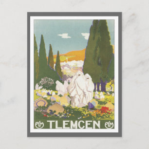 Vintage Tlemcen Algerien Postkarte