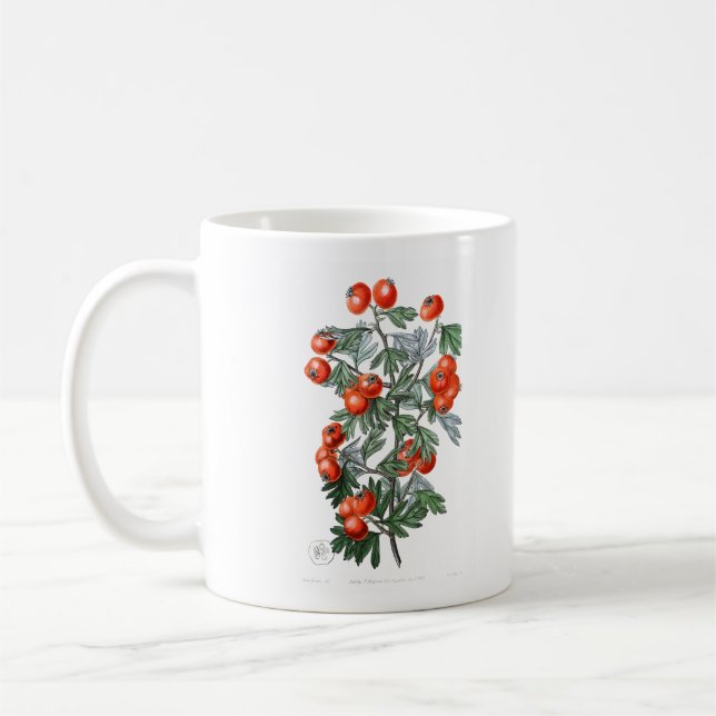 Vintage Tomatensäube Kaffeetasse (Links)