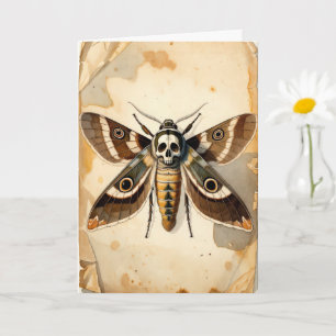 Vintage Totenkopfschwärmer Entomologie Kunst Karte