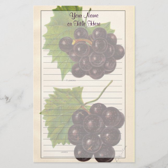 Vintage Traubengeschirr Briefpapier (Vorderseite)