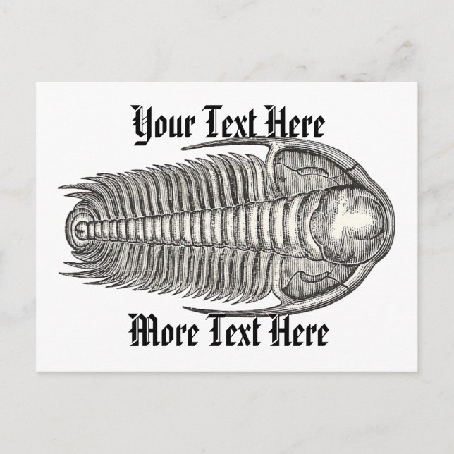 Vintage Trilobite Postkarte (Vorderseite)