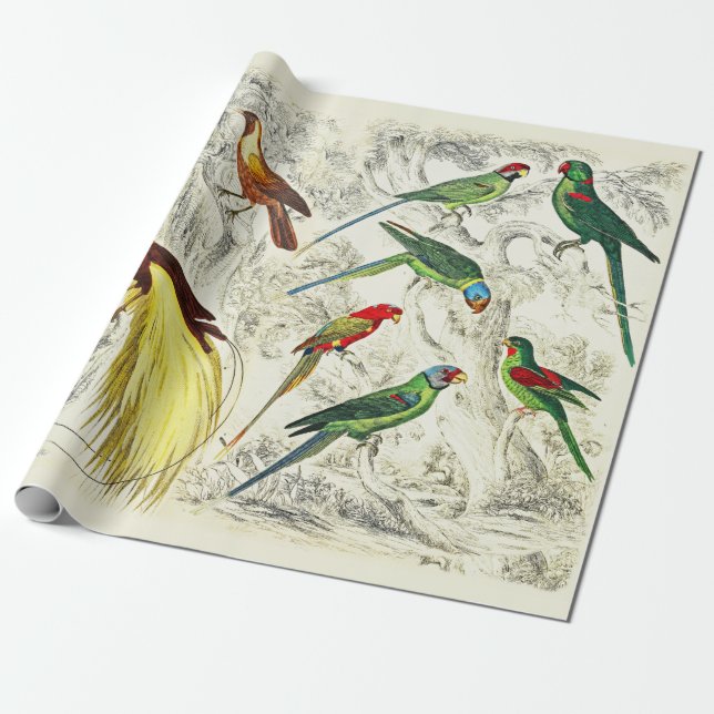 Vintage Tropenwälder und Paradiesvögel Geschenkpapier (Ungerollt)