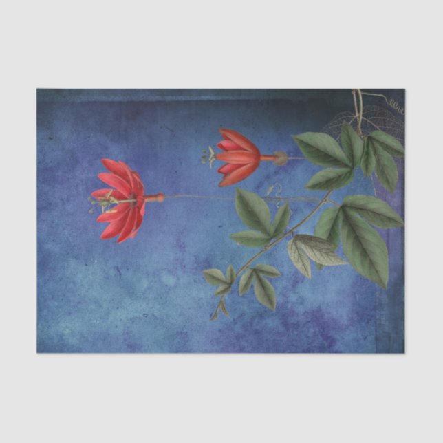 Vintage tropische Blume Seidenpapier (Vorderseite)