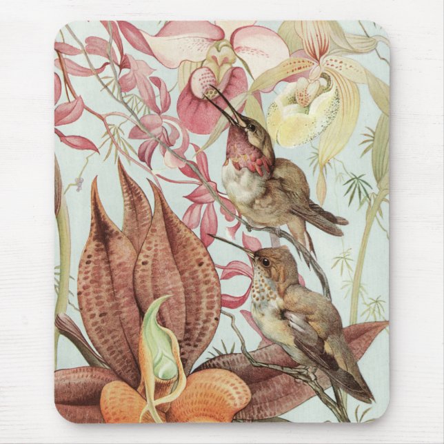 Vintage tropische Orchideen, Blume und Hummingvöge Mousepad (Vorne)