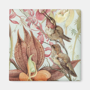 Vintage tropische Orchideen, Blumen und Kolibris Magnet