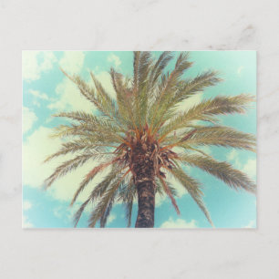 Vintage Tropische Palme Postkarte