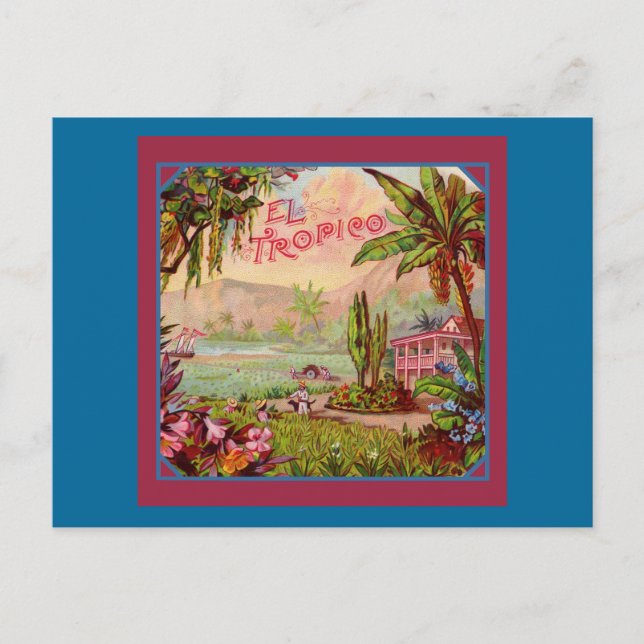 Vintage tropische Pflanze Postkarte (Vorderseite)
