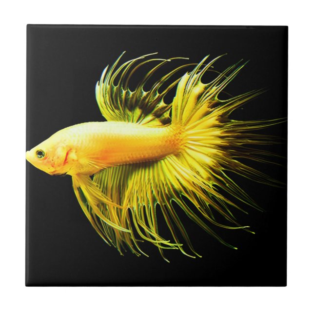 Vintage tropische Wand Fliese (Vorderseite)