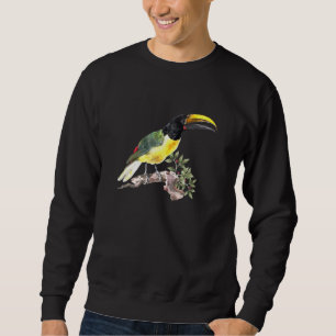 Vintage-Tukan-Illustration von Aert Schouman Sweatshirt