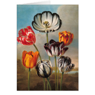 Vintage Tulip-Blume in einer Landschaft