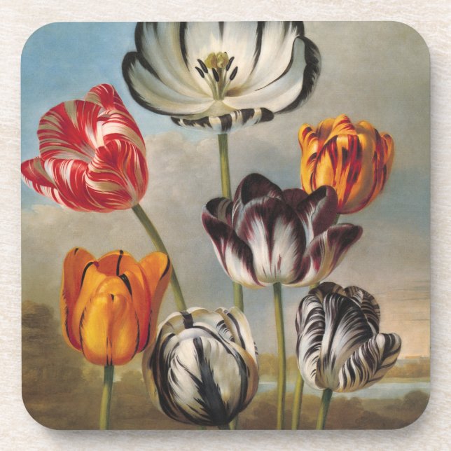 Vintage Tulip-Blume in einer Landschaft Getränkeuntersetzer (Vorderseite)