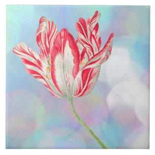 Vintage Tulip Keramik Tile Fliese